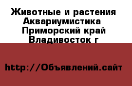 Животные и растения Аквариумистика. Приморский край,Владивосток г.